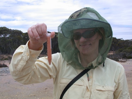 orange acid saline groundwater