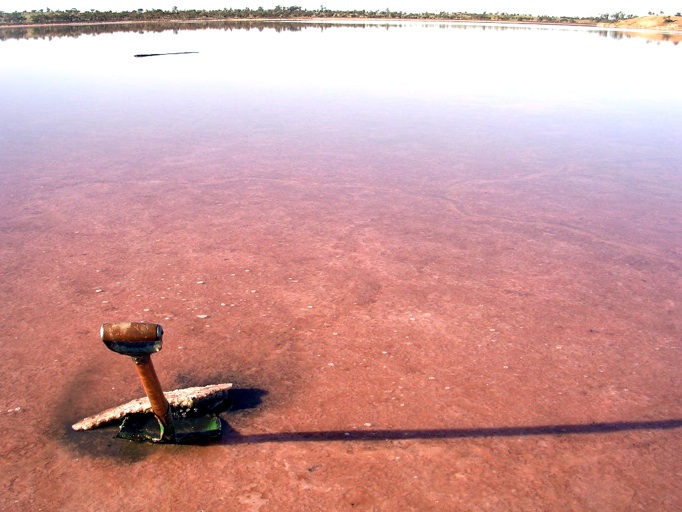 Pink Lake