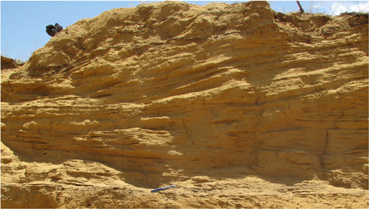 Interior of sand dune