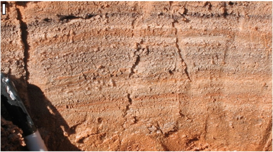 Cross section of sand flat - Lake Aerodrome